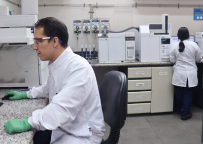 Ensayos_por_cromatografia_de_gases